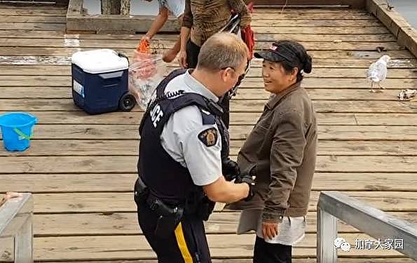 最新进展！在加拿大残忍活拔蟹钳的中国大妈，被温哥华警方重罚！ - 1