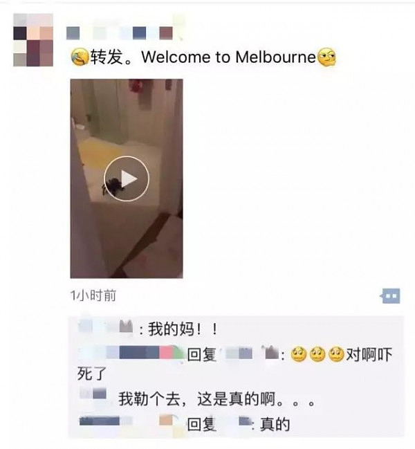 这个视频今天刷爆澳洲朋友圈！但不得不承认，这就是真实的土澳... - 4