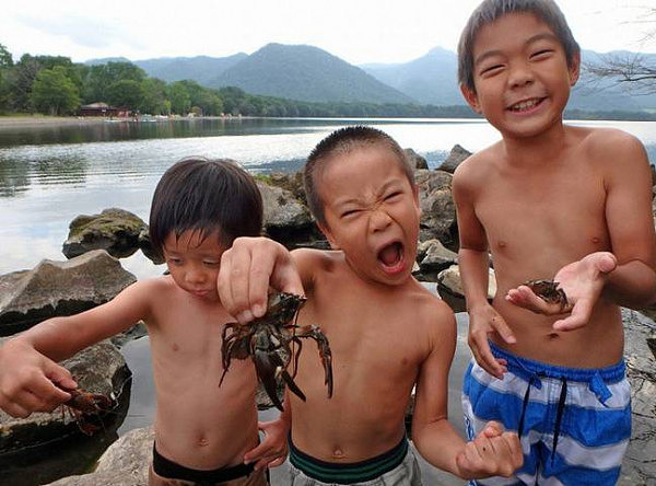 日本湖泊小龙虾泛滥 渔民踩碎当肥料(组图)