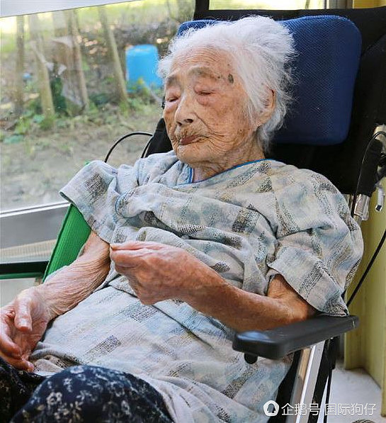 日本117岁老人继任世界最年长者头衔（组图） - 3