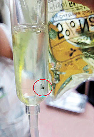 韩国医院输液袋惊现苍蝇蟑螂 5月大婴儿已输液两小时 - 1