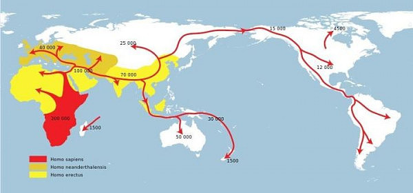 十万年前的亲密接触，祸害了全人类