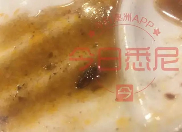 中国游客在悉尼著名中餐馆吃出蟑螂！当事人：“店家不但不道歉，还说我们给中国人丢脸！”老板娘：“吃得那么干净，想免单，怎么可能？” - 1