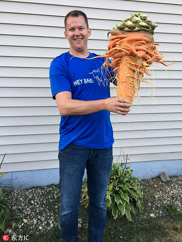 美国男子种出10公斤巨型胡萝卜打破世界纪录（图） - 1