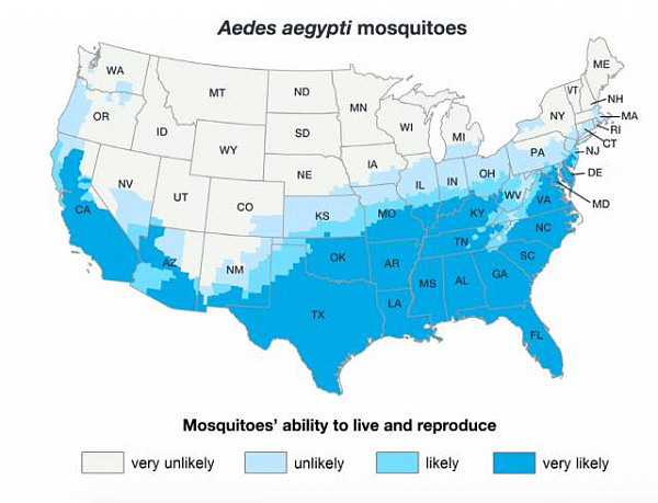 注意！携带致命病毒蚊子在美国肆虐，疾控中心发出最新警告 - 2