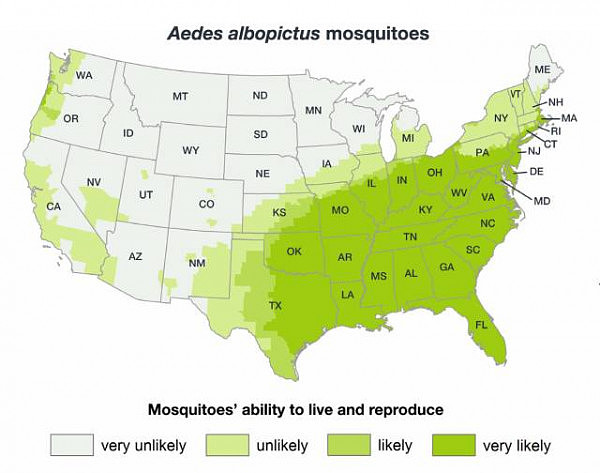 注意！携带致命病毒蚊子在美国肆虐，疾控中心发出最新警告 - 3