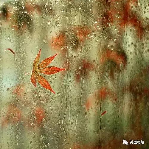 有一种常见“病”叫“雨瘾症”，是你吗？