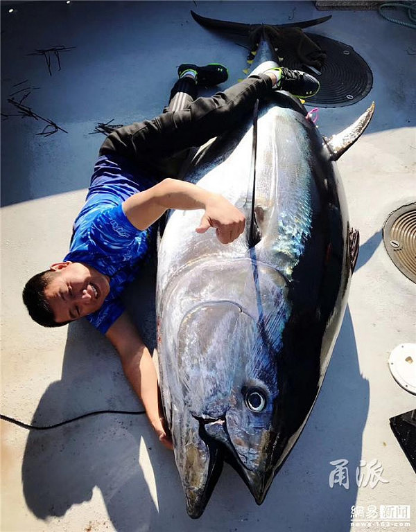华人海钓团钓起价值百万蓝鳍金枪鱼 分而食之（组图） - 2