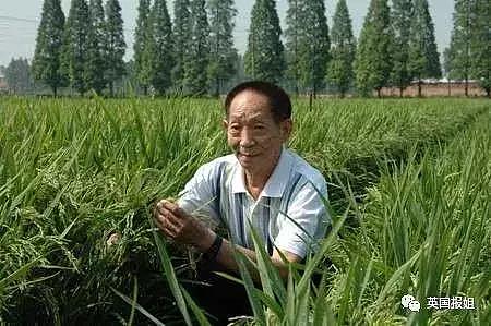 袁隆平：一次次的突破，为让所有人远离饥饿，87岁仍在坚持