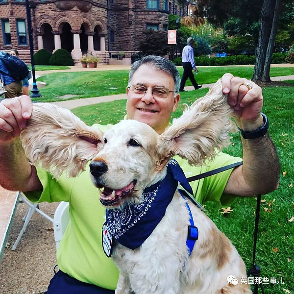 这群萌萌的服务犬预备役,有一位来自喵星的老师(图) - 2