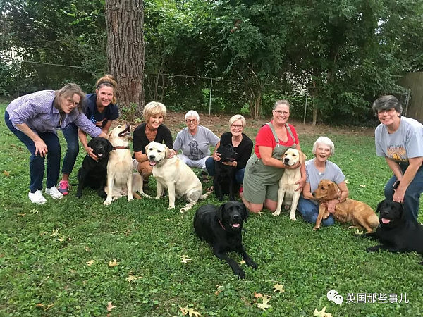 这群萌萌的服务犬预备役,有一位来自喵星的老师(图) - 20