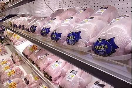英国记者卧底爆料黑幕！最大产肉商生产“毒鸡肉”，举国愤怒