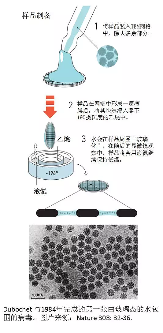 这就是诺贝尔化学奖得主的简历 看后能笑背过气去