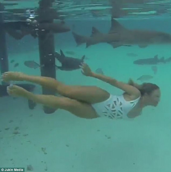 实拍美女寻刺激：扔生肉后纵身跳进鲨鱼群与鲨鱼共舞（视频） - 7