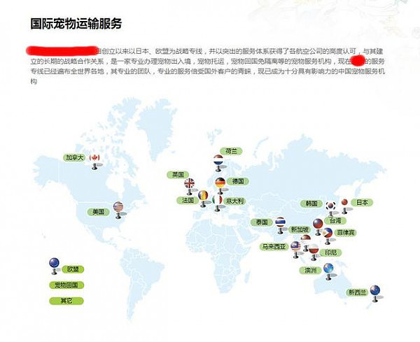 老人捧在手里的猫就这么不见了？这事惊动了英国第二大的机场