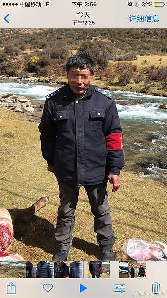 西藏一林业局人员割鹿头画面曝光：用于科研(图) - 6