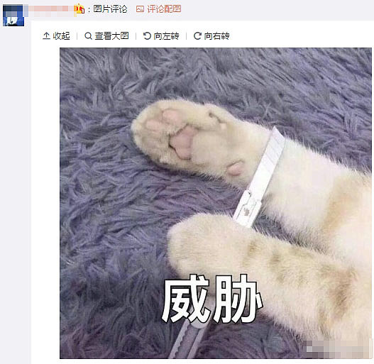 猎豹截图20171008121633