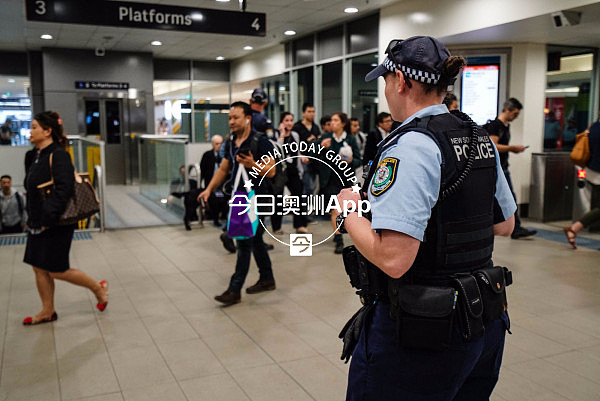 独家探秘！今日悉尼与警方协同执法，现场直击华人区缉毒行动（视频） - 1