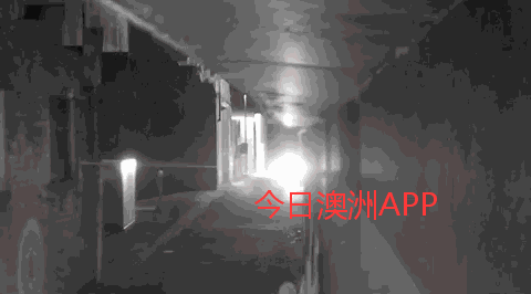 【更新：宝马车已找回】华人美女上演澳版“白夜追凶”！遭入室爆窃损失宝马车名牌包，自己锁定嫌犯还原作案过程（视频） - 11