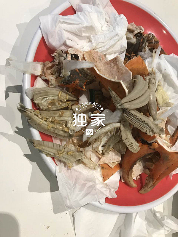 澳洲华人水产店被指卖长“寄生虫”的泥蟹！店家：“10只里面6只有” （组图） - 2