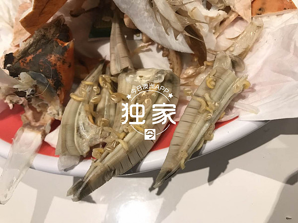 澳洲华人水产店被指卖长“寄生虫”的泥蟹！店家：“10只里面6只有” （组图） - 4