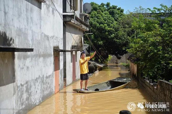 越南洪灾致54人死 养猪场大批猪被淹死(组图) - 6
