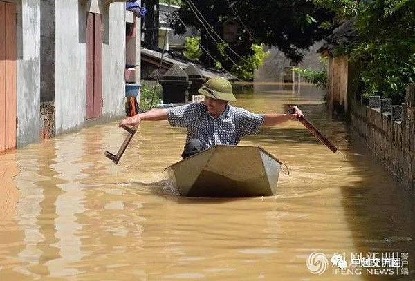 越南洪灾致54人死 养猪场大批猪被淹死(组图) - 7