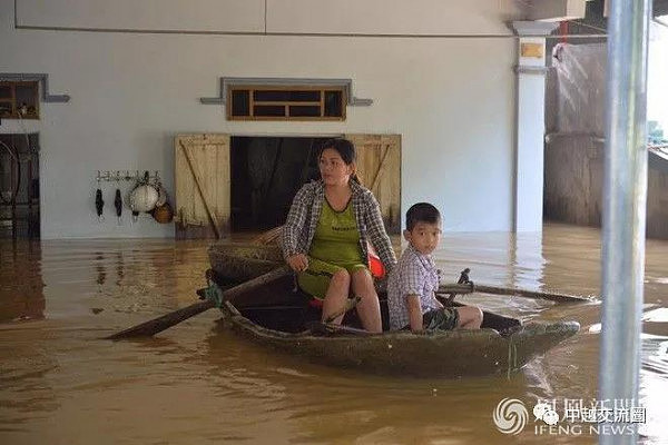 越南洪灾致54人死 养猪场大批猪被淹死(组图) - 8