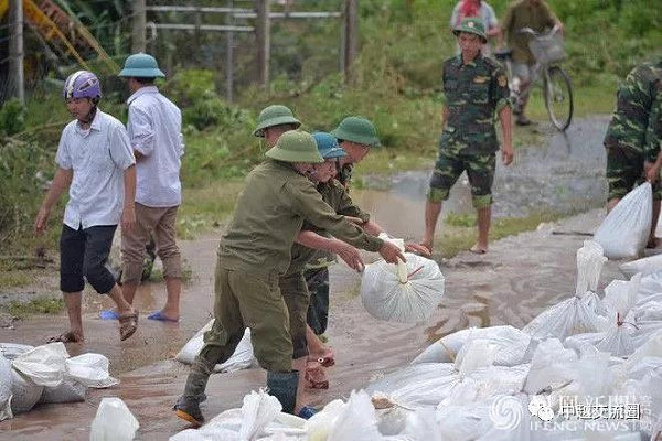 越南洪灾致54人死 养猪场大批猪被淹死(组图) - 10