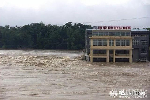 越南洪灾致54人死 养猪场大批猪被淹死(组图) - 12