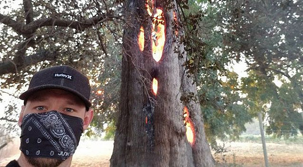 加州大火酿奇景：大树从内部自燃成空壳（组图） - 2