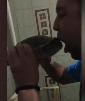俄罗斯男子亲吻宠物龟，没想到乌龟给了他一个“惊喜”