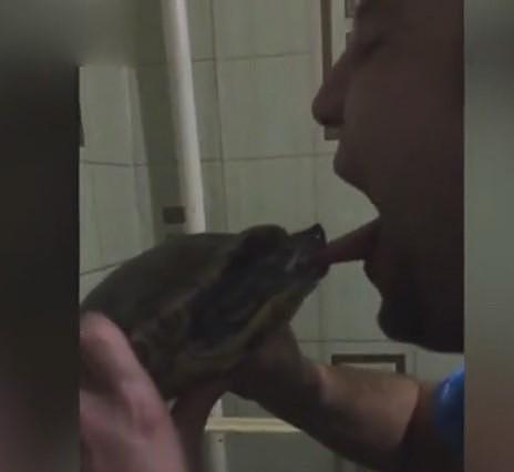 俄罗斯男子亲吻宠物龟，没想到乌龟给了他一个“惊喜”