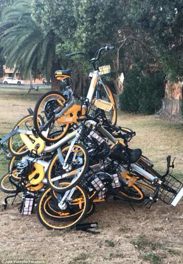悉尼Bondi海滩小黄车被推倒！共享单车安全帽也被丢垃圾桶（视频） - 10