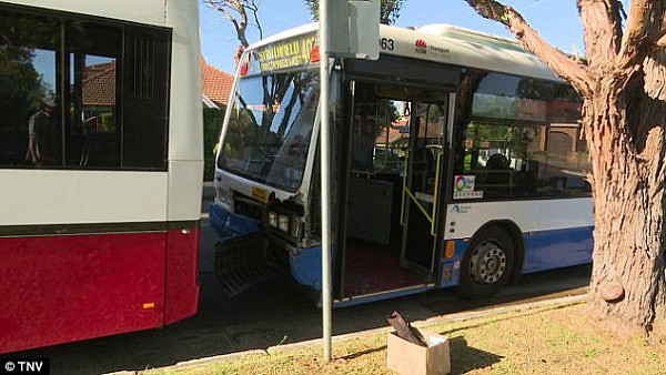 突发：悉尼内西区两辆校车拦腰相撞 至少2名儿童受伤（图） - 7