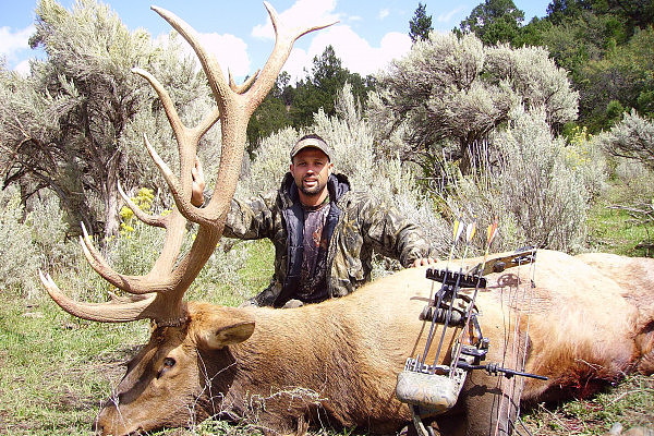 美国犹他州野生鹿泛滥，官方邀6万名猎人捕鹿，去年曾猎3万头 - 4