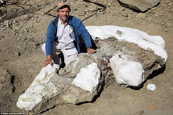 美国发现完整恐龙骨骼化石 距今七千万年（组图） - 1