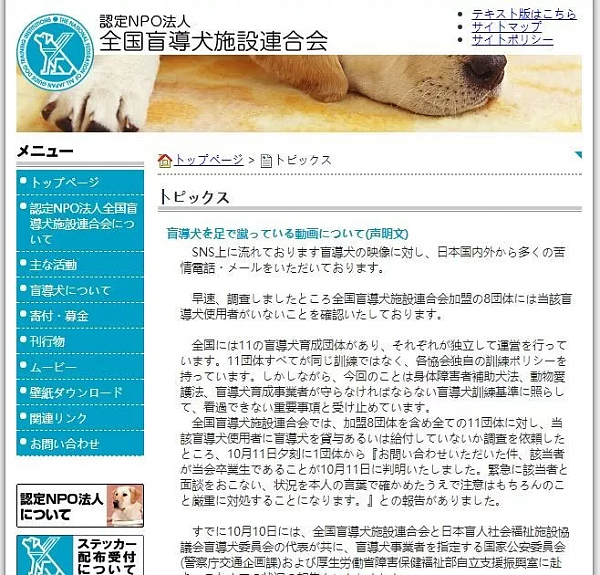 日本一导盲犬被盲人脚踢头部后仍引路 网友炸了