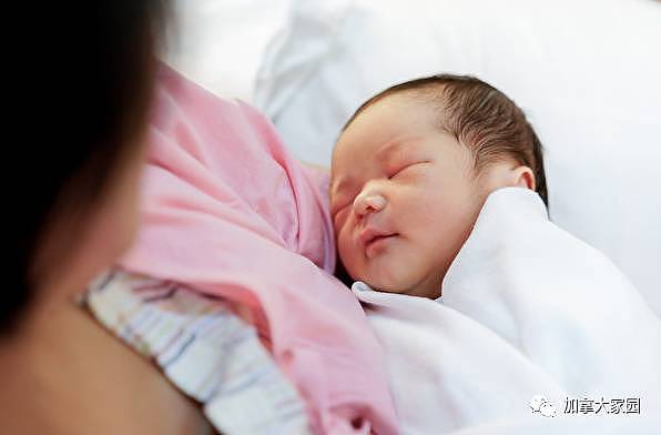 加拿大卫生局：“双非婴”十年增十多倍，98%婴儿父母是中国人！华人社区反对“双非婴儿”最强烈 - 1