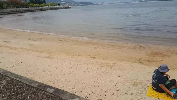 一群日本孩子在香港沙滩上，做的事情令大人都惭愧！（图） - 5