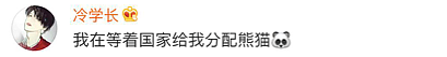 澳洲男孩养了一只“神兽”当宠物，没事儿就牵着它开车兜风、海边散步、还玩滑板超拉风！中国网友：“我等着国家给我分配大熊猫” - 31