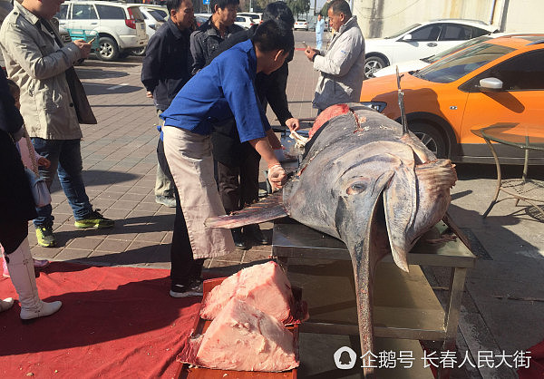 街头惊现3米多长重600多斤大鱼 遭民众抢购一空（组图） - 1