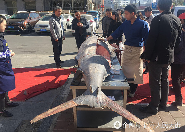 街头惊现3米多长重600多斤大鱼 遭民众抢购一空（组图） - 2