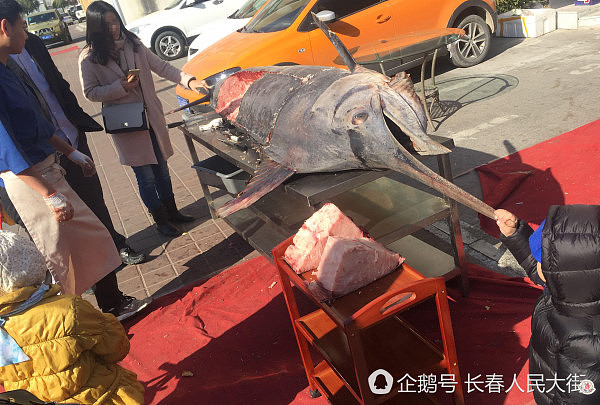 街头惊现3米多长重600多斤大鱼 遭民众抢购一空（组图） - 6