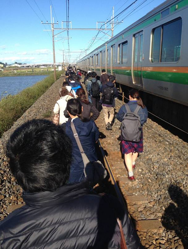 日本电车紧急停车后，车上1700名乘客居然选择这么做...（组图） - 13