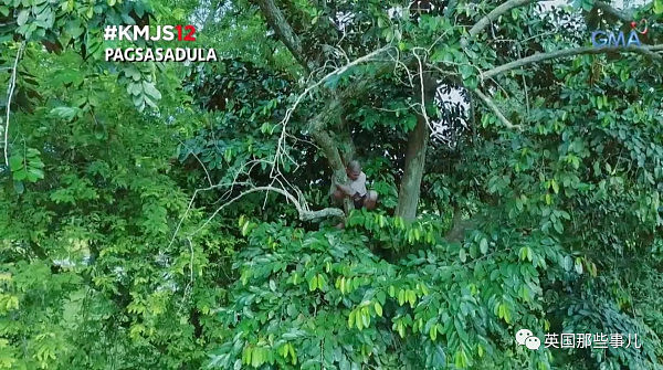 怕被人追杀，他爬到18米高椰子树顶一住就是3年... 终究还是被锯倒了... - 6