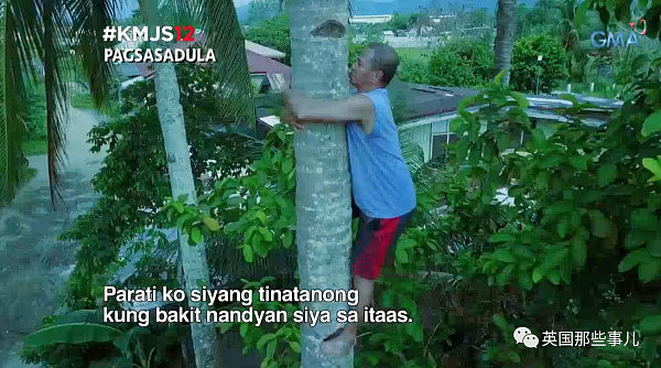 怕被人追杀，他爬到18米高椰子树顶一住就是3年... 终究还是被锯倒了... - 8