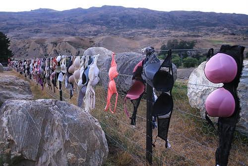 世界上最污景点“胸罩墙”，铁丝网上挂满罩罩，有数亿件之多！