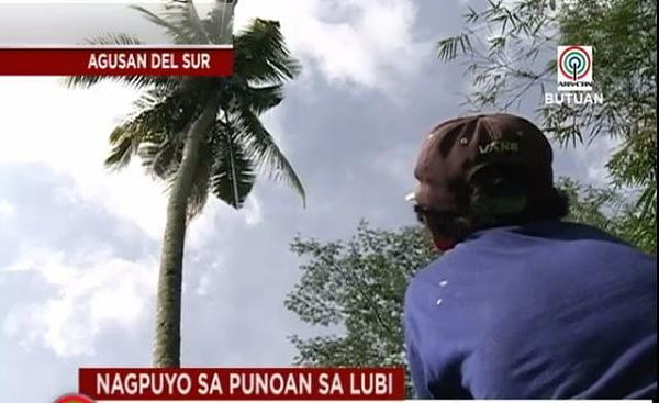 菲律宾男子在18米高树上蹲坐3年 终于重回地面