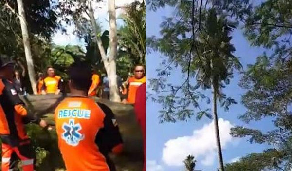 菲律宾男子在18米高树上蹲坐3年 终于重回地面